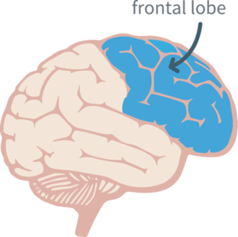 frontal-lobe-dementia-living.png