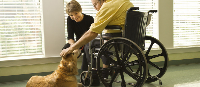 pet therapy for alzheimer's patients